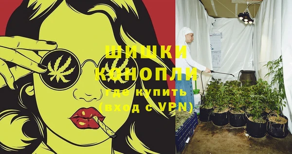 2c-b Сясьстрой