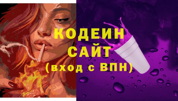 2c-b Сясьстрой