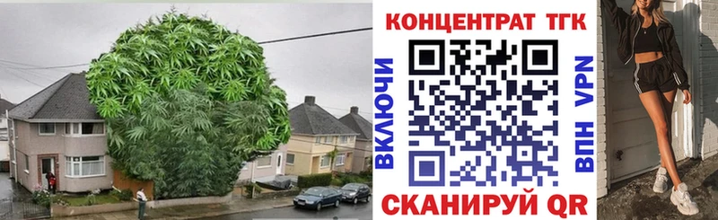hydra зеркало  Судак  ТГК THC oil  купить  сайты 