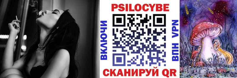 закладка  Судак  Псилоцибиновые грибы Psilocybine cubensis 